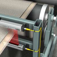 Carpet Web Detection