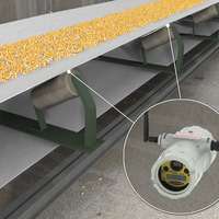 Monitoring Motor and Bearing Temperatures in Hazardous Areas