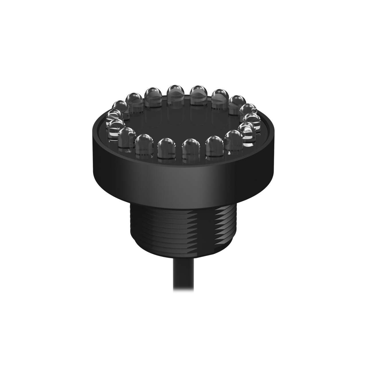 K50LDGRYP