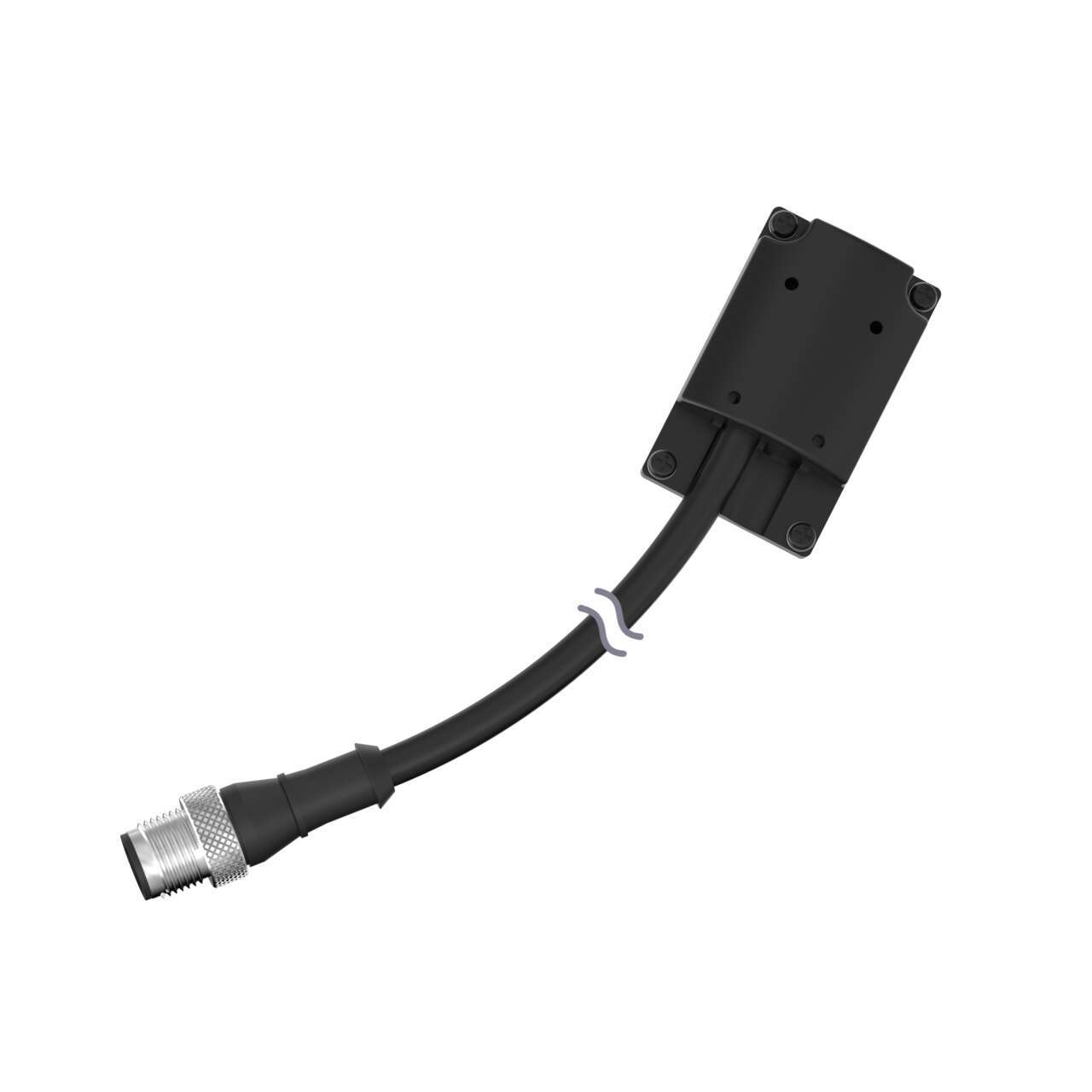 DES4-M81-D
