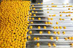 Pharmaceutical and Medical