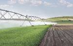 Agriculture